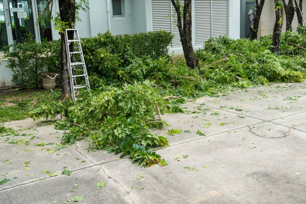 Best Arborist Consultation Services  in Smithers, WV